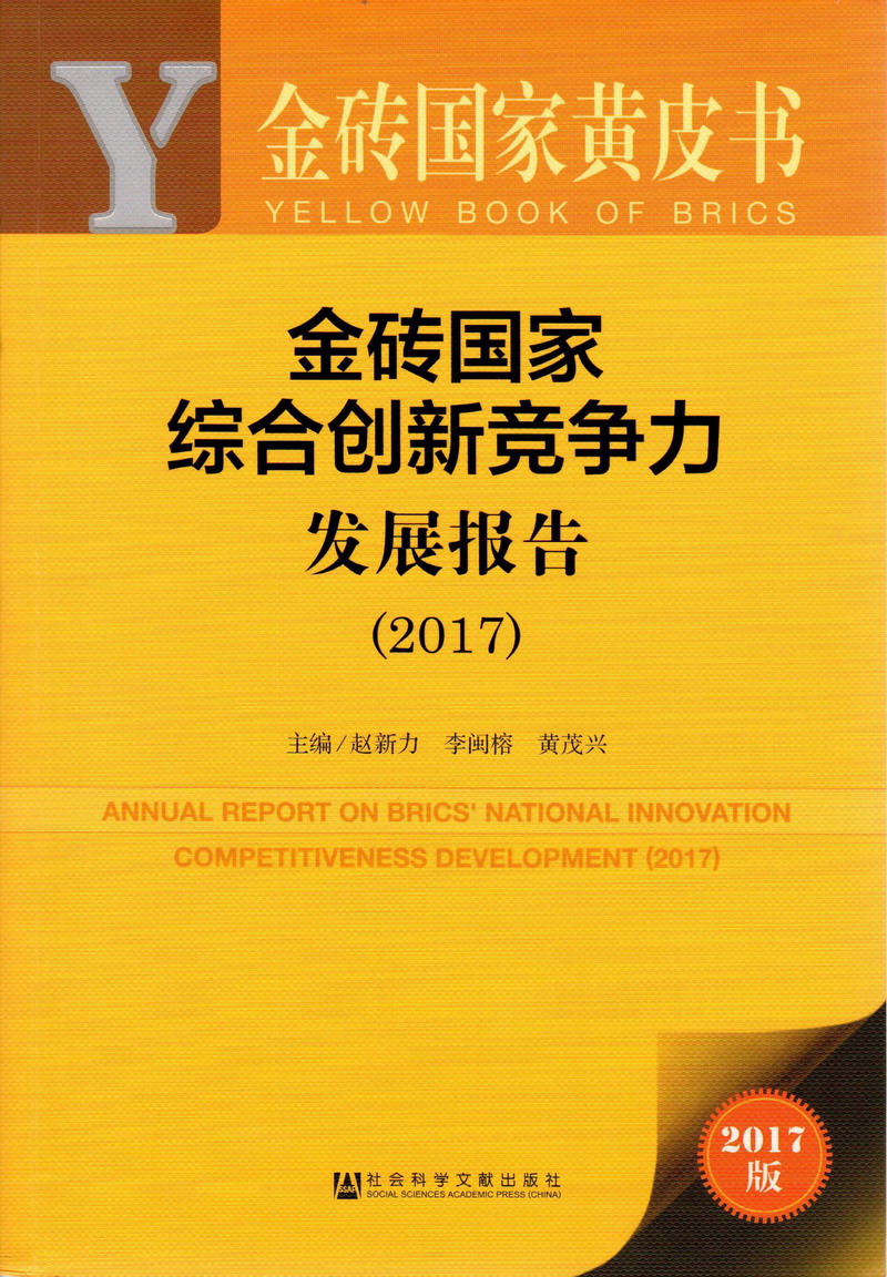 和操屄有关的所有网站观看金砖国家综合创新竞争力发展报告（2017）